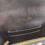 Dior-Saddle-belt-pouch-1-2.png