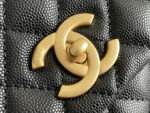 Chanel-Coco-Handle-Platinum-1.png