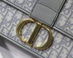 Christian-Dior-30-MONTAIGNE-BAG.png