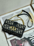 DIOR-30-MONTAIGNE-CHAIN-BAG-2.png