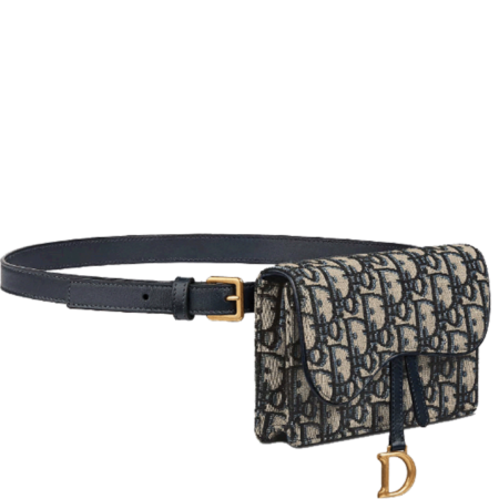 Dior-Saddle-belt-pouch-1-2.png