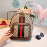Gucci-Ophidia-GG-small-backpack-2.png