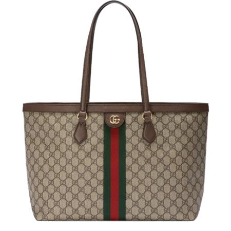 spot-a-fake-gucci-bagmmklmm-1.png