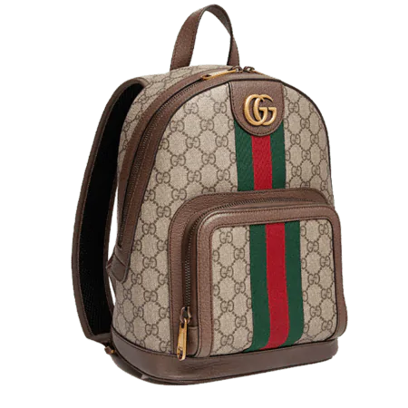 Gucci-Ophidia-GG-small-backpack-2.png